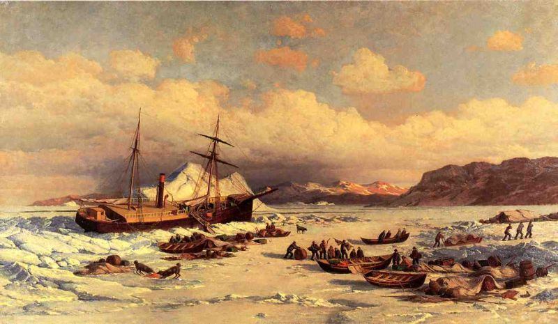 William Bradford Voyage